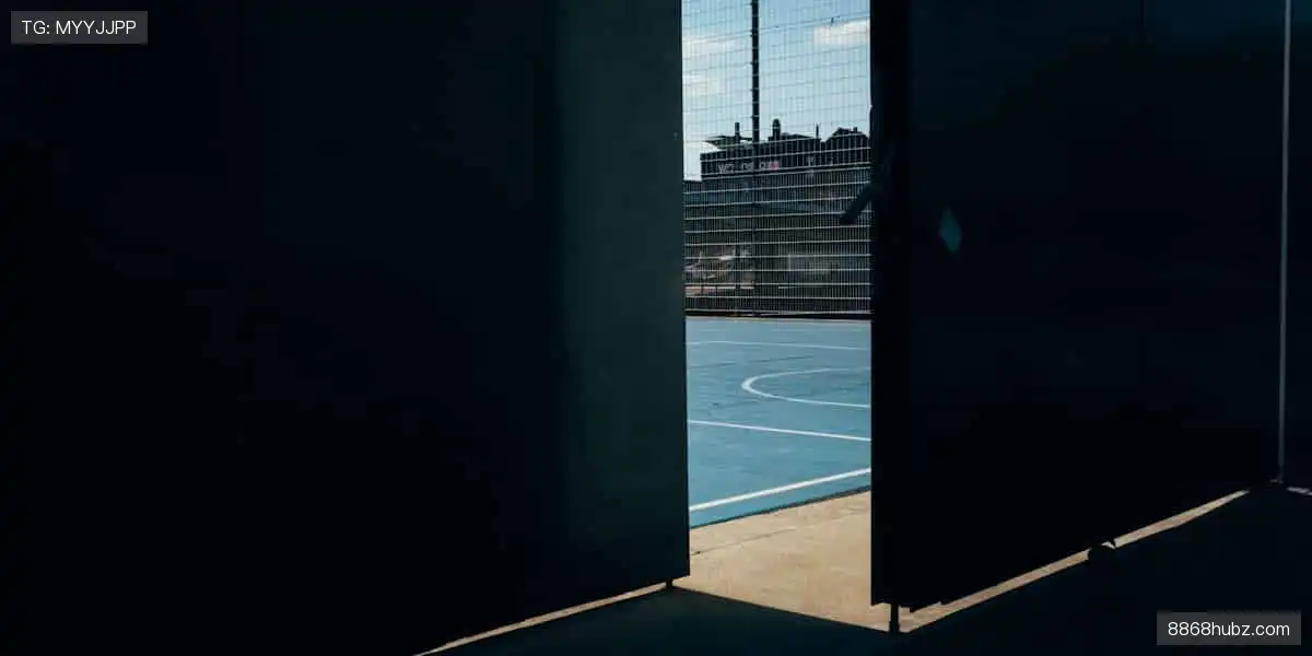 🎮 虚拟看台，弹幕狂欢，